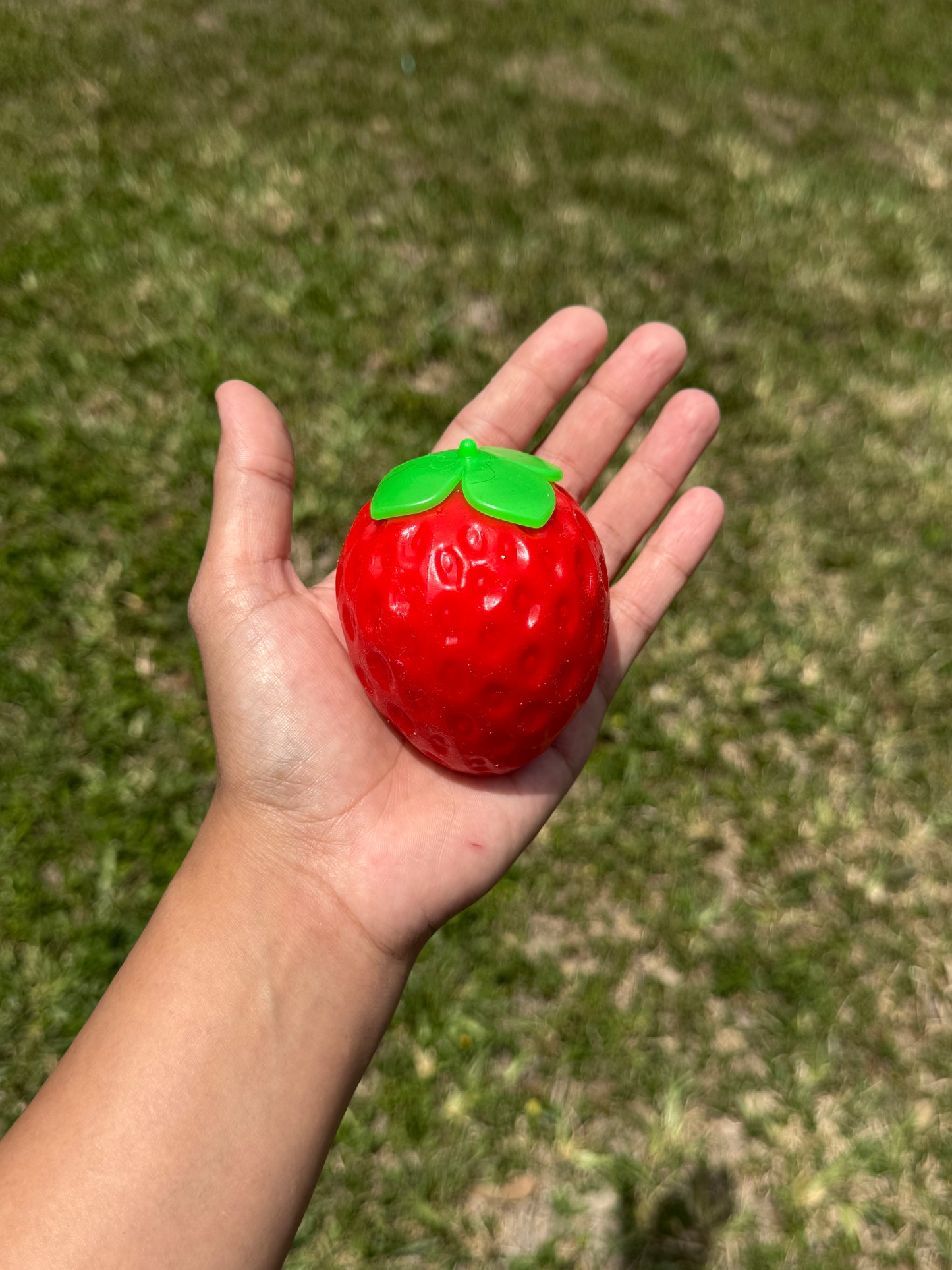 Strawberry stress squish