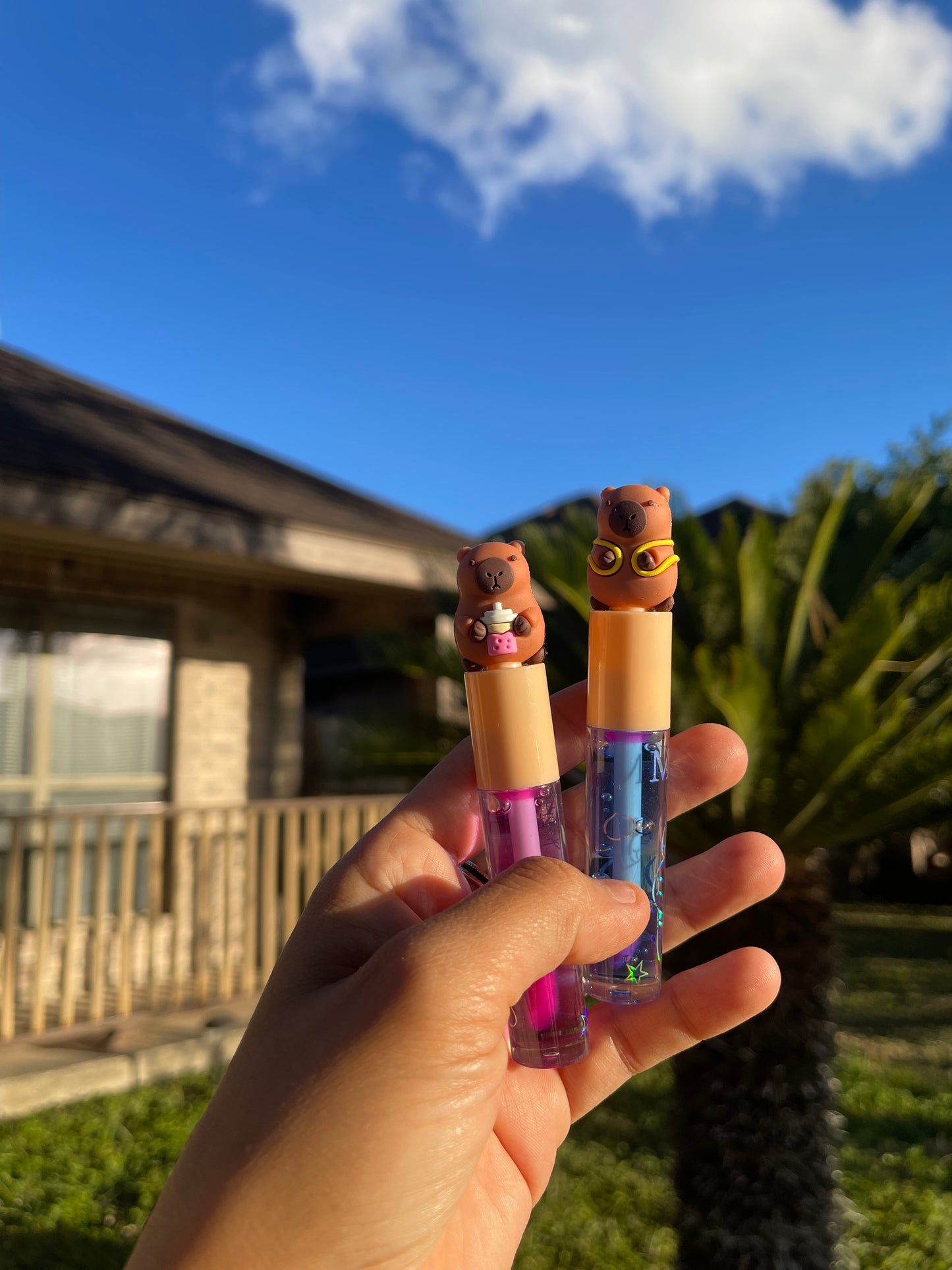 Capybara color changing lipgloss