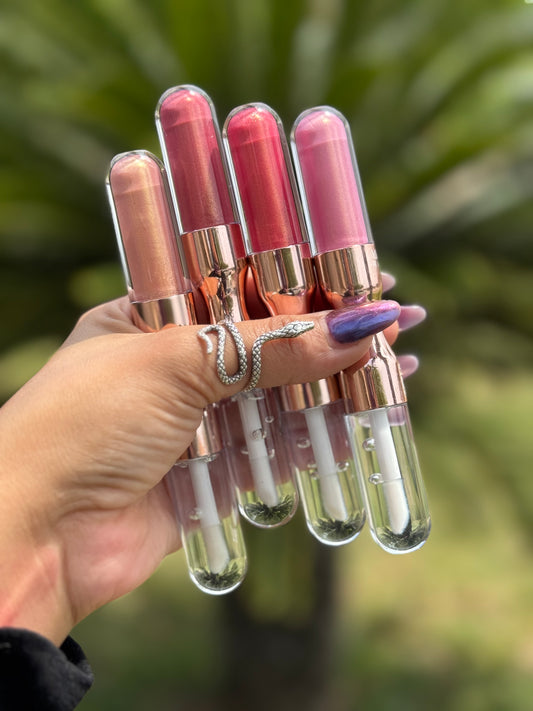 Set of glosses