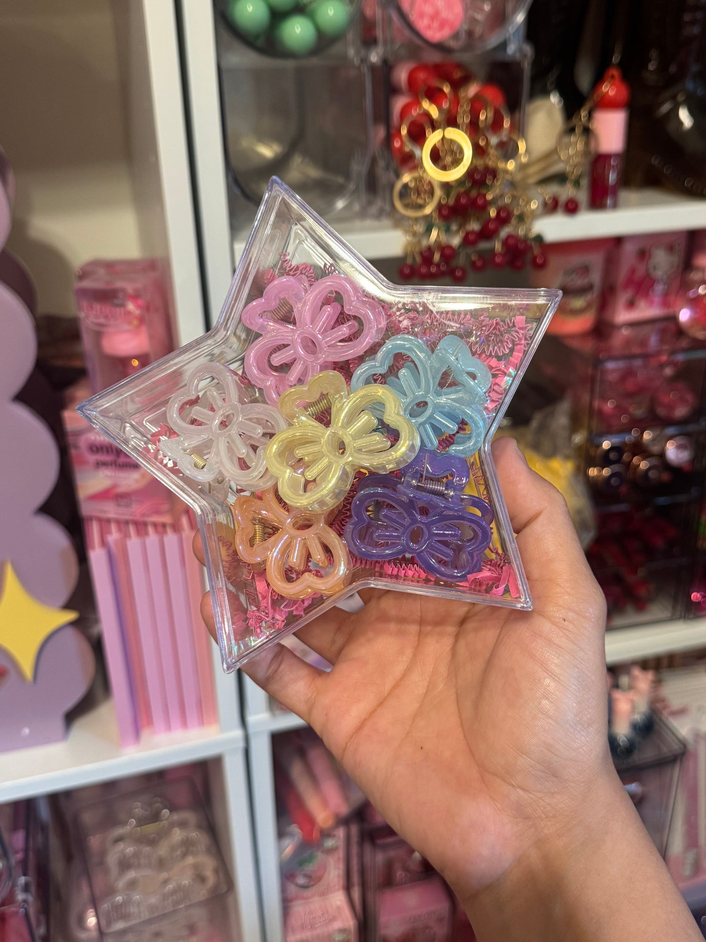 Star hair clip case