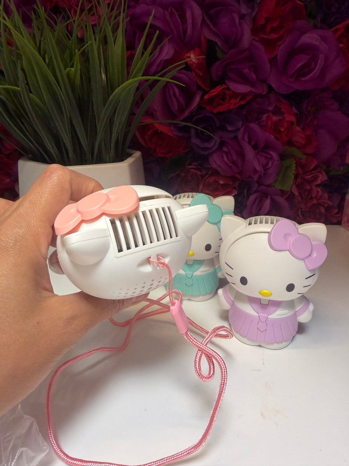 Kitty fan